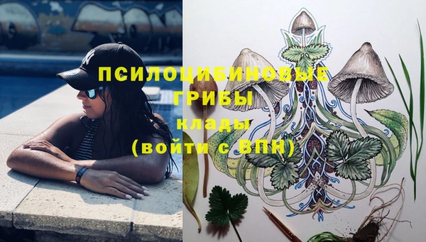 прущие грибы Балабаново