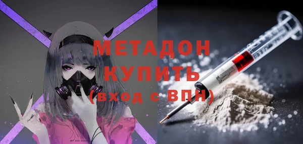 прущие грибы Балабаново