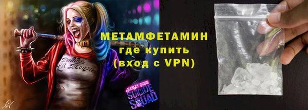 прущие грибы Балабаново