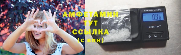 прущие грибы Балабаново