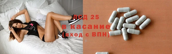 прущие грибы Балабаново