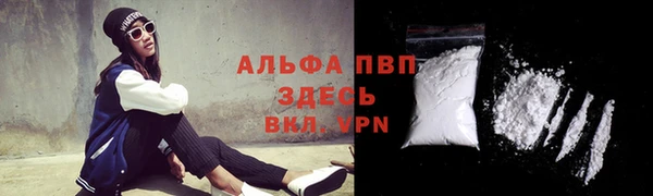 прущие грибы Балабаново